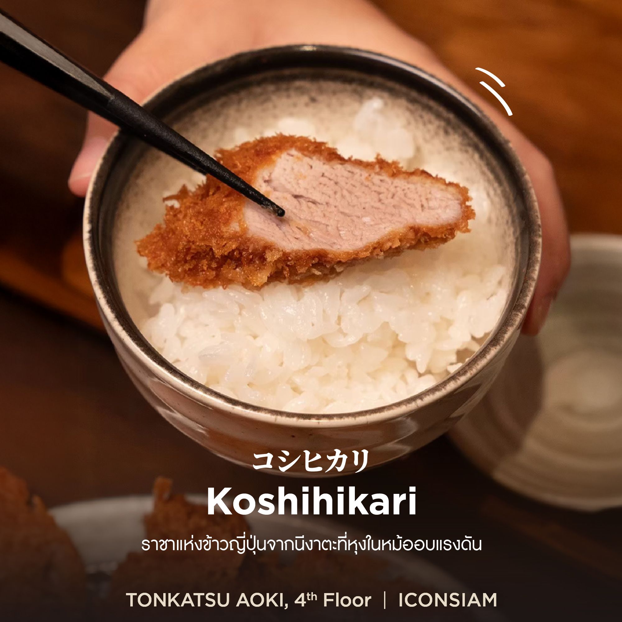 เพราะ Tonkatsu AOKI คือความอร่อยระดับตำนานกับร้านทงคัตสึที่ถูกยกให้เป็น ...